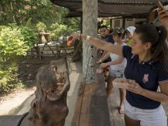 Hippos Lord Pablo Escobar Country South American Hacienda Napoles Environment Minister Irene Velez