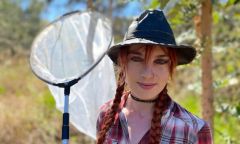 Dr Prendergast Bee Bees Species Native Bees Honey