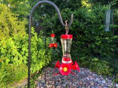 Feeders Hummingbird Feeders Hummingbirds Mckeon Feeder Hummingbird Feeder