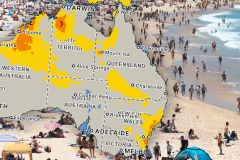 Dingoes South Australia Love Australia's Yahoo News Australia Spokesperson Authorities