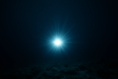 Matter Particle Neutrino Dark Matter Flash Icecube