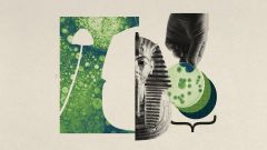 Fungus Molecules Cancer Flavus Asperigimycins Curse