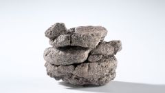Fossil Dinosaur Fossils Hagadorn Rock Period