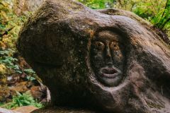 South America Years Dna Argentina Ancestry Maravall L Oacute Pez