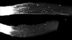 Nerve Sines Gi Gi Sines Growth Rna