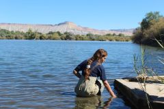 Lake Powell Mussels Water Colorado Zebra Zebra Mussels
