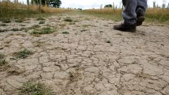 Soil Microbes Resistance Drought Newman Antibiotic Resistance