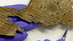 Manuscripts Enoch Scrolls Bible B C Castor Oil