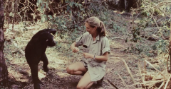 Goodall Jane Goodall Chimpanzees Miss Goodall Sarah Pruitt Gombe Stream National Park