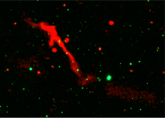 Galaxy Gas Jets Years Plasma Hole
