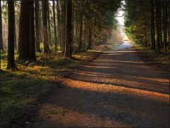 Moon Deg Sunrise Magnitude Sunset Stars