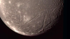 Ocean Ariel Ariel's Ocean World Stress Crust