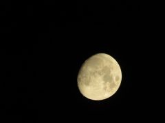 Moon Core Data Moon's Researchers Earth