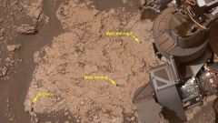 Molecules Mary Anning Mars Curiosity Life Sample