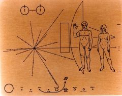 Pioneer Pioneer 11 Pioneer 10 Saturn Carl Sagan Jupiter