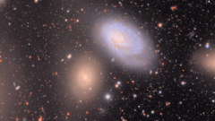 Rubin Observatory Data Telescope Light Objects