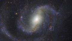 Star Supernova Supergiant Jwst Stars Light