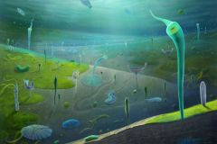 Animal Fossils Cambrian Animals Body Explosion