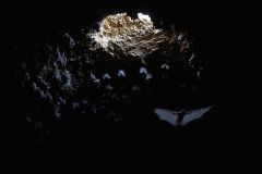 Years Humans Archaeologists Early Humans Tinshemet Cave Tinshemet