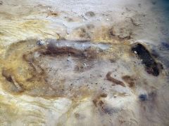 People Oxford Cotswold Archaeology Burials Horse Time Sand