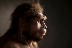 Years H Neanderthals Africa Skh 363 L Homo
