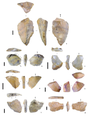 Years Sulawesi Bbc Science Hominins Adam Brumm Island