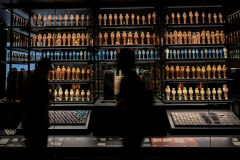 Visitors Museum Grand Egyptian Museum King Tutankhamun's Sherif Fathy Abdel Fattah Al