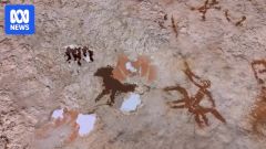 Rock Art Years Evidence Cave Art Art Cave