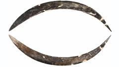 Years Boomerang 322 Cave Azowa Study