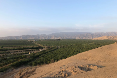 Maize Chincha Kingdom Poop Chincha Valley Jo Osborn Guano