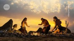 Selection Years Variants Middle East Harvard Medical School Changes