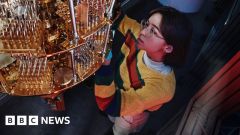 Quantum Peronnin Computers Quantum Computing 8239 Alice