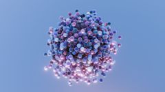 Protons Neutrons Numbers Shells Magic Numbers Nucleus