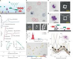 Hydrogen Intermediates Palladium Molecule Researchers Surface