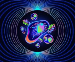 Quantum Proteins Protein Sensors Fields Researchers