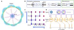 Dissipation States Quantum Computation Quantum Systems Entanglement Quantum