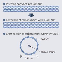 Carbon Llccs Swcnws Diameter Prof Maruyama Polyyne