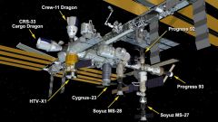 Iss Spacecraft Ms Astronaut Nasa Cargo