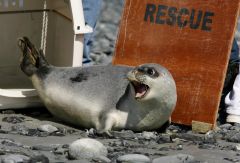 Species Sea List Climate Birdlife International Iucn