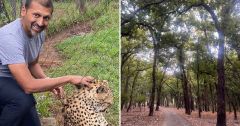 Forest Biosphere Land Life Gupta Delhi