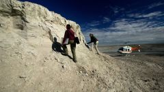 Proteins Fossils Research Dinosaur Fossil Years