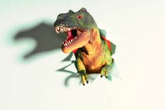 Dinosaurs Dinosaur Book World Books Fossils