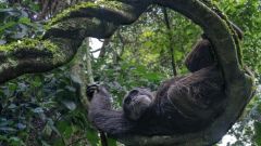 Wildlife Infocus Photography Photo Photographer Amit Eshel Urban Life Ellesmere Island