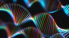 Dna Traits Genes Cells Genetics Gene