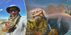 Associated Press Joaquinraptor Casali Dinosaur Discovery Bones Journal Nature