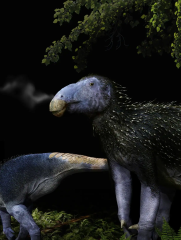 Spikes Skin Scales Dinosaurs Dinosaur Structures