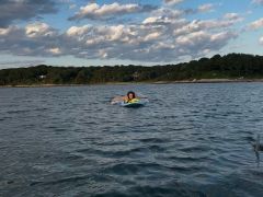 Shark Bowles Cronin Water Area Woods Hole
