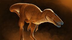 T Rex North America Species Group Mongolia Years