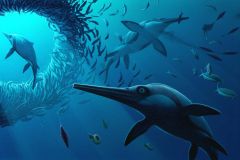 Golden Cap Ichthyosaur Ichthyosaurs Sword Years Reptiles