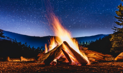 Neanderthals Years Nautilus Members Experience Ad Members